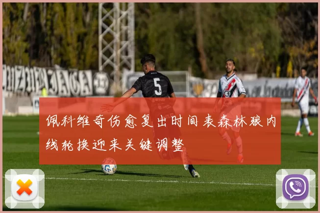 佩科维奇伤愈复出时间表森林狼内线轮换迎来关键调整