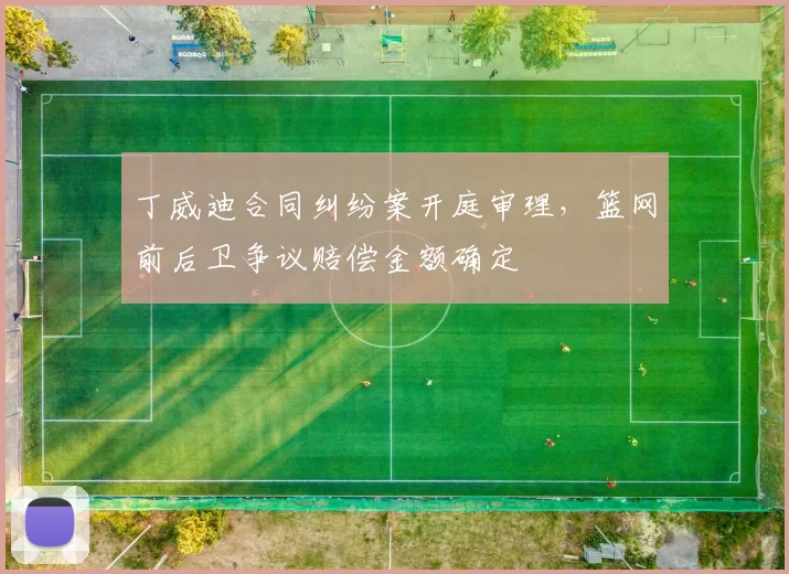 丁威迪合同纠纷案开庭审理,篮网前后卫争议赔偿金额确定