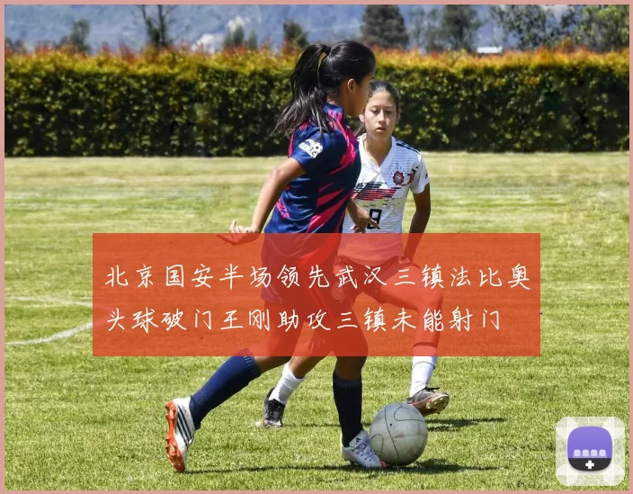 北京国安半场领先武汉三镇法比奥头球破门王刚助攻三镇未能射门