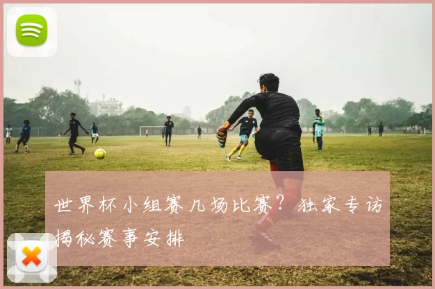 世界杯小组赛几场比赛？独家专访揭秘赛事安排