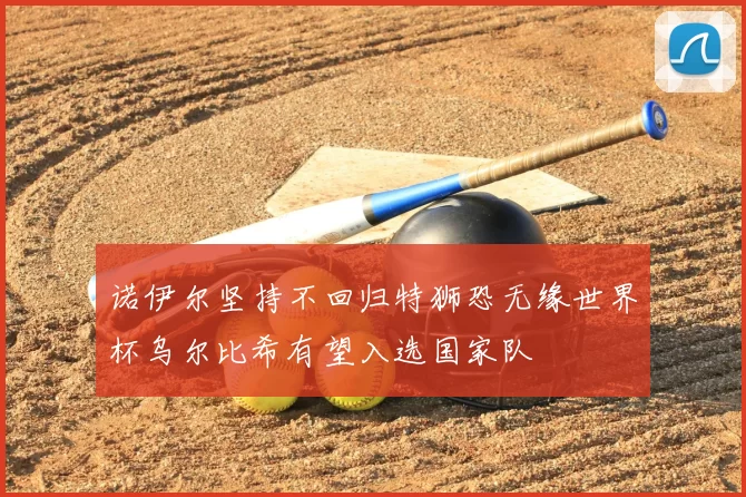 诺伊尔坚持不回归特狮恐无缘世界杯乌尔比希有望入选国家队