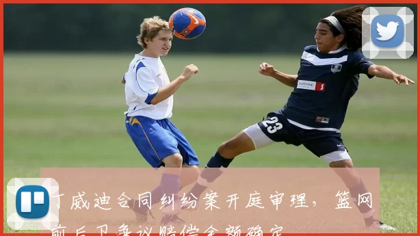 丁威迪合同纠纷案开庭审理,篮网前后卫争议赔偿金额确定