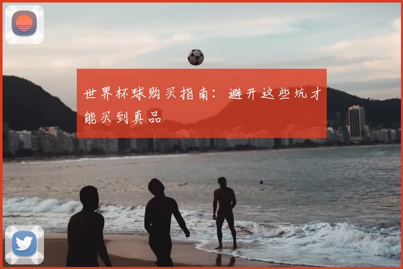 世界杯球购买指南:避开这些坑才能买到真品