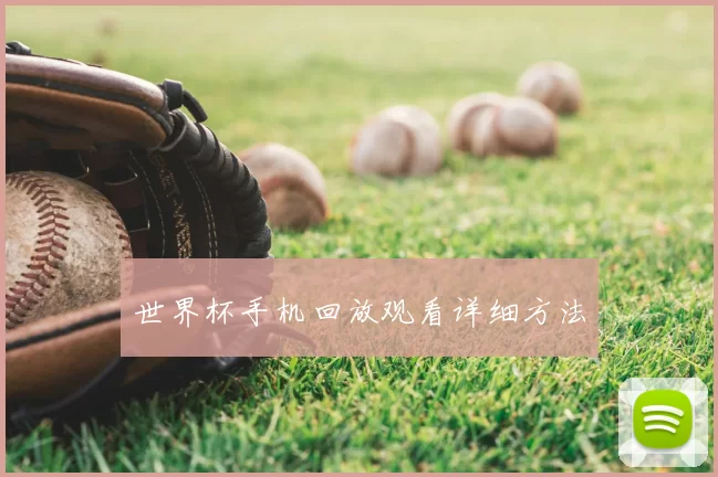 世界杯手机回放观看详细方法