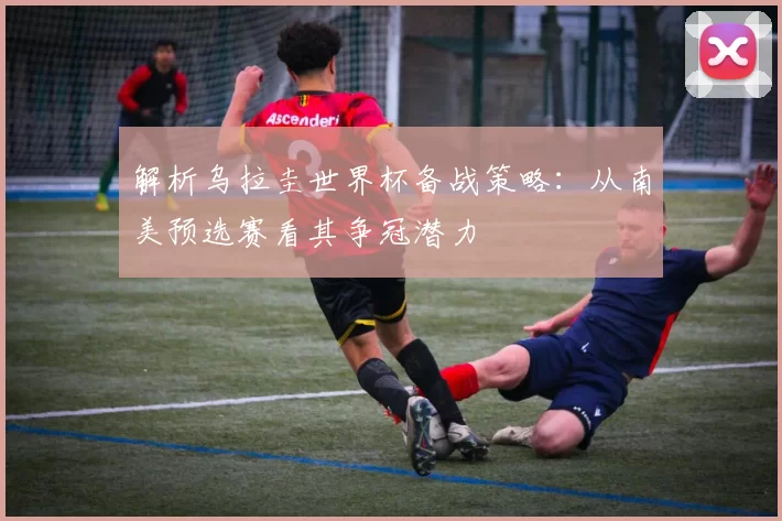 解析乌拉圭世界杯备战策略:从南美预选赛看其争冠潜力
