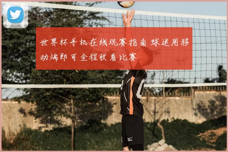 世界杯手机在线观赛指南 球迷用移动端即可全程收看比赛