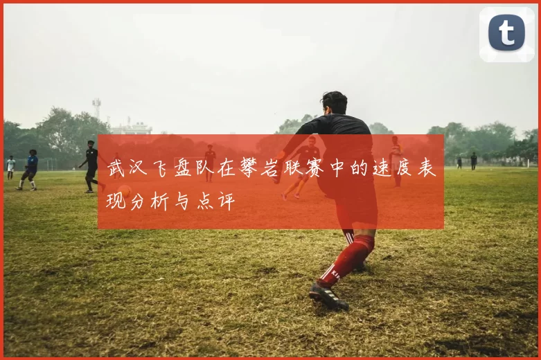武汉飞盘队在攀岩联赛中的速度表现分析与点评