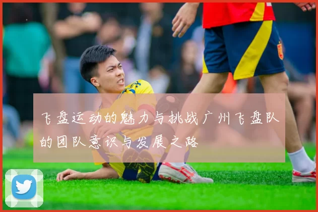 飞盘运动的魅力与挑战广州飞盘队的团队意识与发展之路