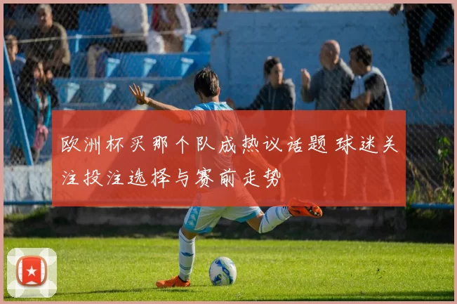 欧洲杯买那个队成热议话题 球迷关注投注选择与赛前走势