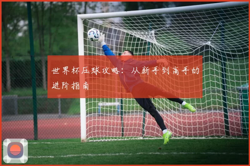 世界杯压球攻略:从新手到高手的进阶指南