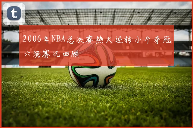 2006年NBA总决赛热火逆转小牛夺冠六场赛况回顾