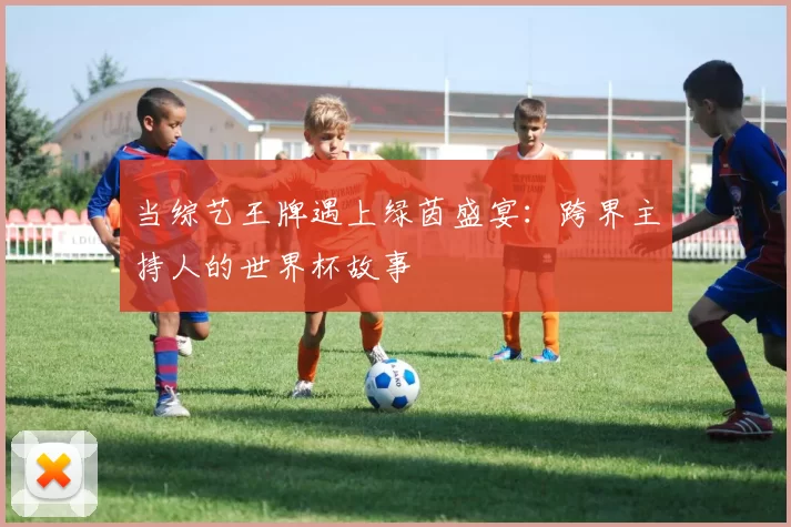 当综艺王牌遇上绿茵盛宴：跨界主持人的世界杯故事