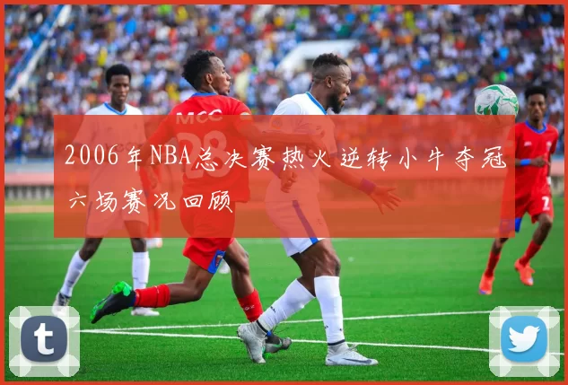 2006年NBA总决赛热火逆转小牛夺冠六场赛况回顾