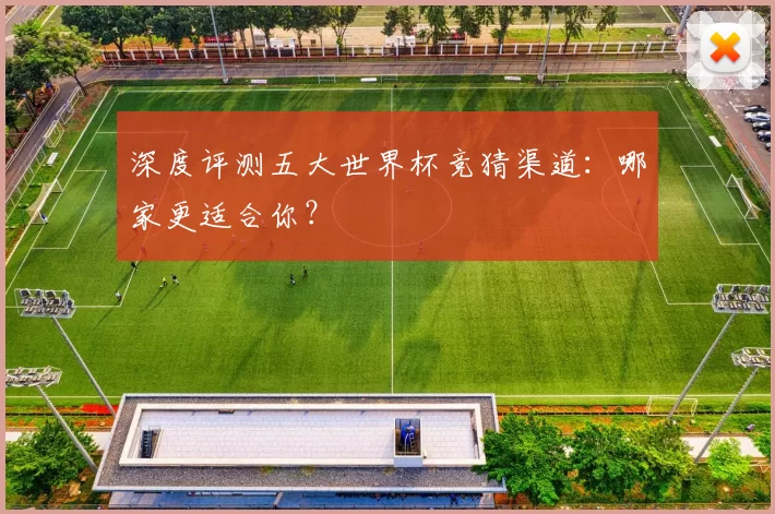 深度评测五大世界杯竞猜渠道:哪家更适合你?
